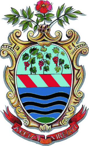 <p>Comune di Trevignano Romano</p>